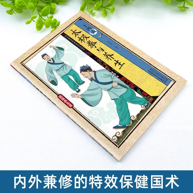 24 Style Tai Chi i ćwiczenia z – Health & Wellness Pay recenzja i cena
